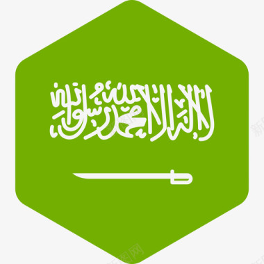 六边形图案沙特阿拉伯国际国旗2六边形图标图标