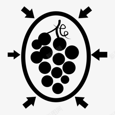 簇盾酿酒葡萄酒收获图标图标