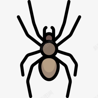 蜘蛛动物25线形颜色图标图标
