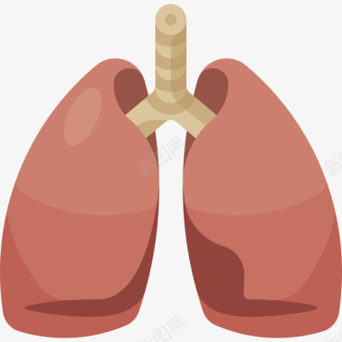 肺部受损肺部12号医院平坦图标图标