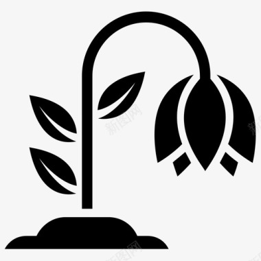郁金香植物装饰植物开花植物图标图标