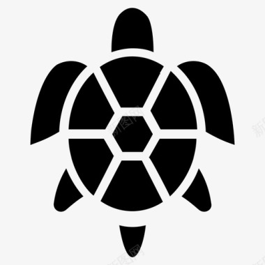 乌龟生日卡海龟濒危物种海洋动物图标图标