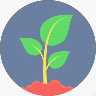 平坦芽苗菜生态40平坦图标图标