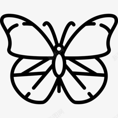 蝴蝶动物与自然3直系图标图标