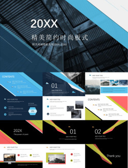 20XX精美简约时尚板式商务项目汇报总结