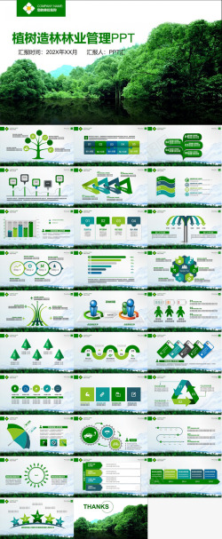 植树绿色简约时尚植树造林林业管理方案策划书