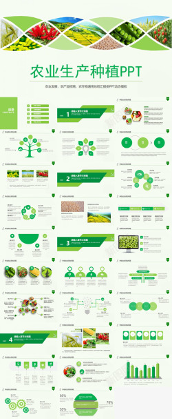 红色绿色扁平化绿色健康饮食农业生产种植