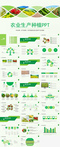 绿色农业PPT扁平化绿色健康饮食农业生产种植