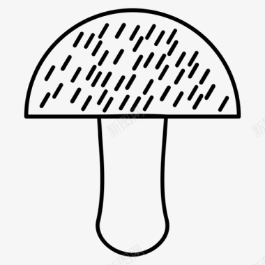 蘑菇植物蔬菜图标图标