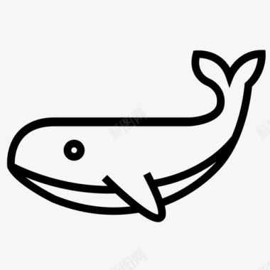 鲸鱼须鲸鲸目动物图标图标