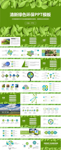 绿色矢量图精美实用清新绿色环保宣传教育总结