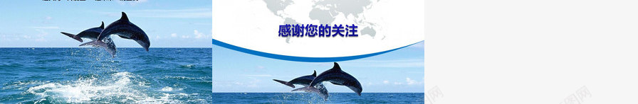 海洋环境保护宣传PPT模板_88icon https://88icon.com 宣传 海洋 环境保护