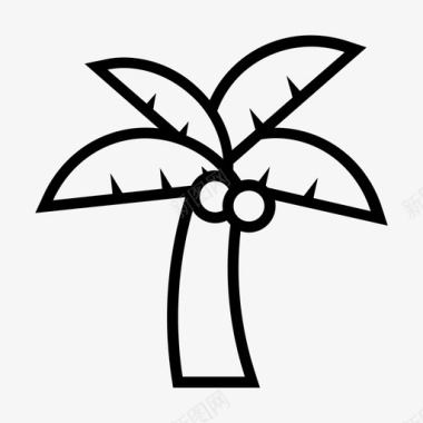 大王椰子树椰子树水果岛图标图标