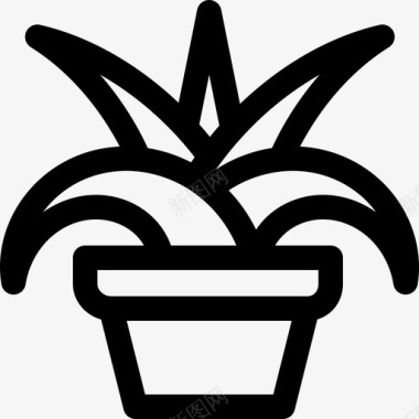 吊兰属室内植物5线状图标图标