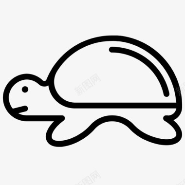乌龟生日卡海龟生物海洋图标图标