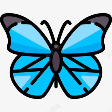 蝴蝶动物与自然2线性颜色图标图标