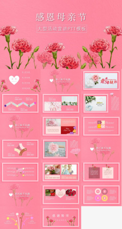 粉色线条粉色浪漫感恩母亲节大型活动宣讲