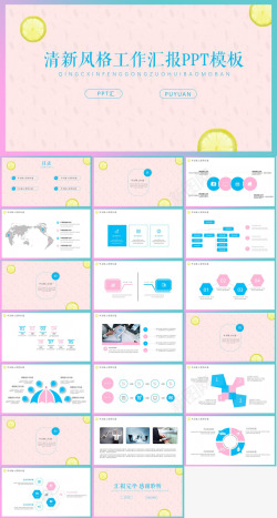 清新柠檬风工作总结汇报通用