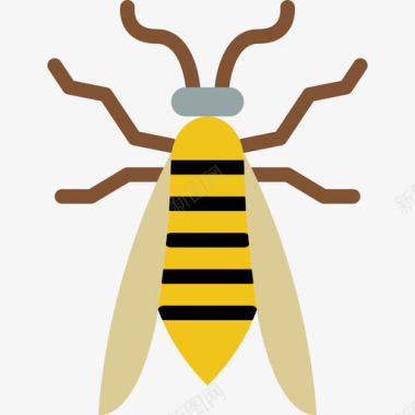 虫黄蜂虫子扁虫图标图标
