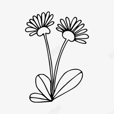 蒲公英花朵涂鸦图标图标