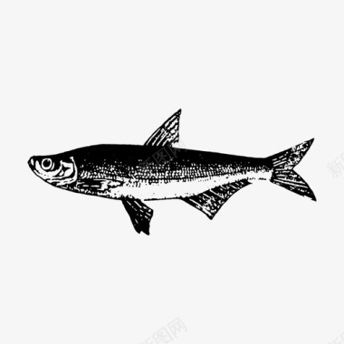 手绘鱼动物钓鱼图标图标