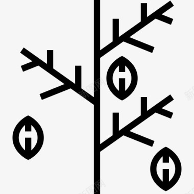 冬秋枝秋26直生图标图标