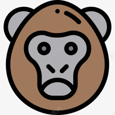 猩猩红毛猩猩动物园5线性颜色图标图标