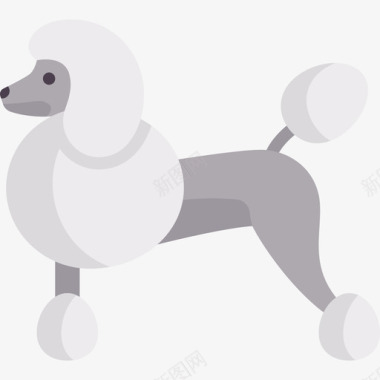 贵宾犬动物与自然扁平图标图标