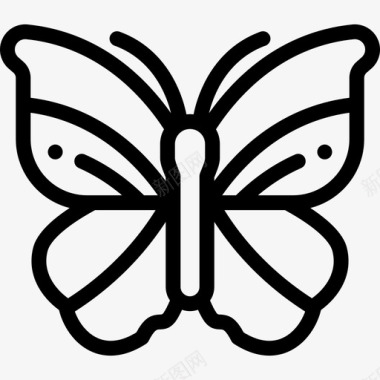蝴蝶室内植物11线形图标图标