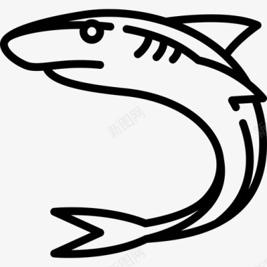 鲨鱼动物与自然3直系图标图标