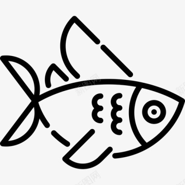 鱼类海洋生物13直系图标图标