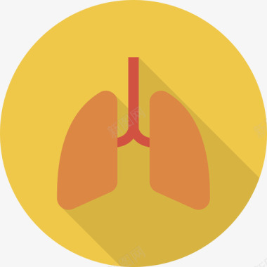 肺肺医学51循环图标图标