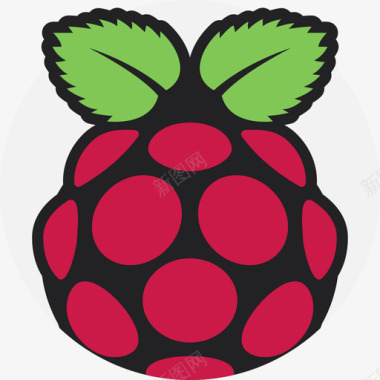 徽标RaspberryPi软件开发徽标平面图标图标