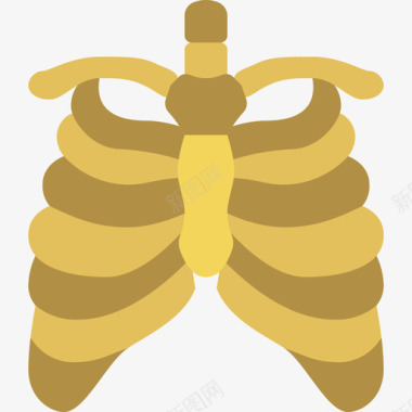 107胸骨医用107扁平图标图标