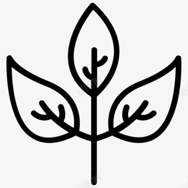 草本植物叶子天然图标图标