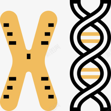ac6染色体生化6黄影图标图标