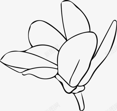 木兰花开花图标图标