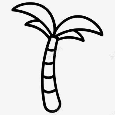 棕榈树山毛榉树椰子树图标图标