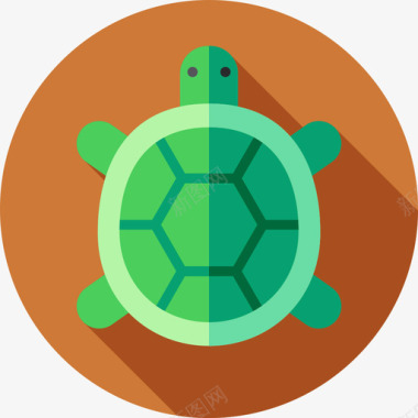 海龟的动物王国海龟野生动物18扁平图标图标