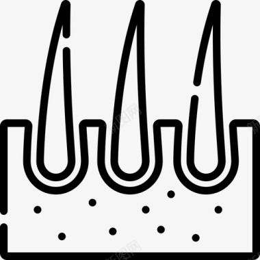 飞机线性图标皮肤病理学兽医25线性图标图标