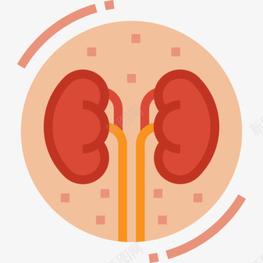 肾脏肾脏医用116扁平图标图标