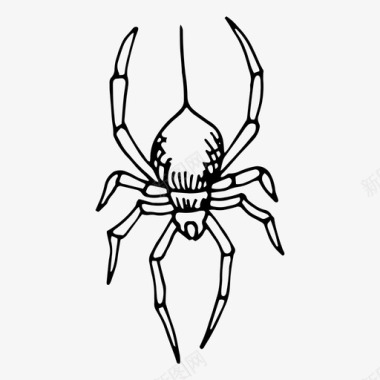 蜘蛛万圣节手绘图标图标