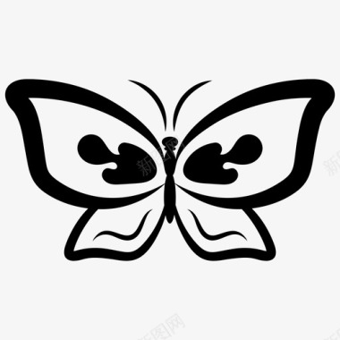 春天蝴蝶蝴蝶图案蝴蝶符号图标图标