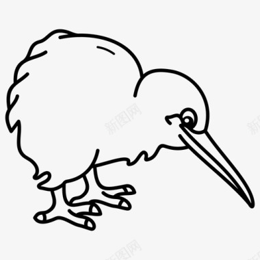 猕猴桃鸟卡通动物小鸟图标图标