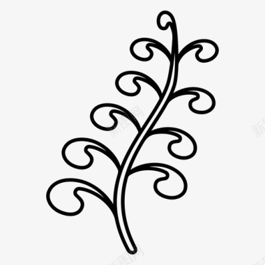 蕨叶新西兰纹身图标图标
