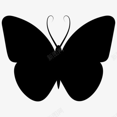 蝴蝶蝴蝶图案蝴蝶符号图标图标