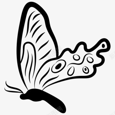 爱心图案蝴蝶形状蝴蝶图案蝴蝶符号图标图标