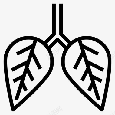 植物的叶叶肺解剖学器官图标图标