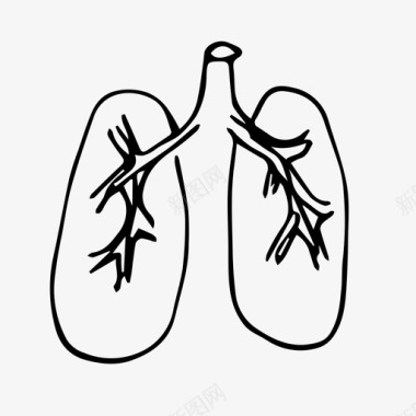 矢量人体肝脏肺医院人体器官图标图标