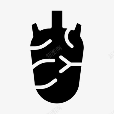 器官心脏生物学人类图标图标